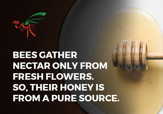 Honey on a plate