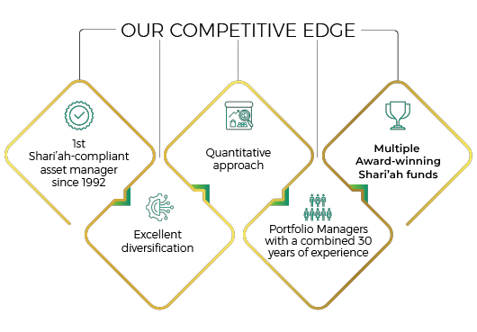 Our competitive edge Mini infographic displaying points why we have a competitive edge